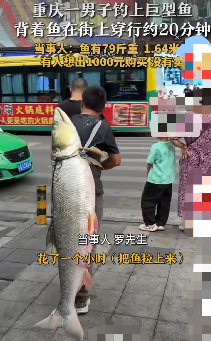 这男子背着鱼尸体在街上耍半天，就为了显吧显吧，人前显圣，鳌里夺尊！没挣到钱吧！有