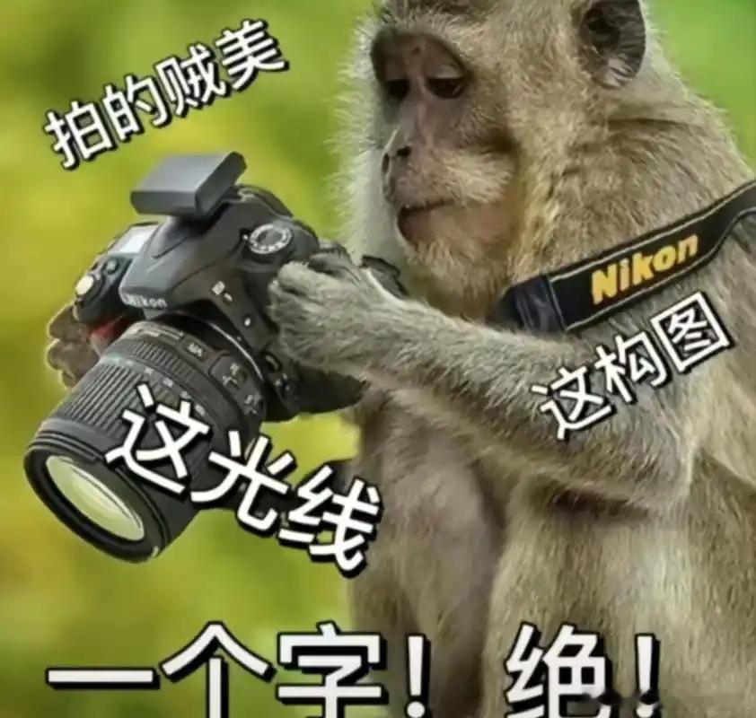 抖音商城双11现货现发每年这个时候都想添置一些东西，刷到什么都想要[哈哈]，现在