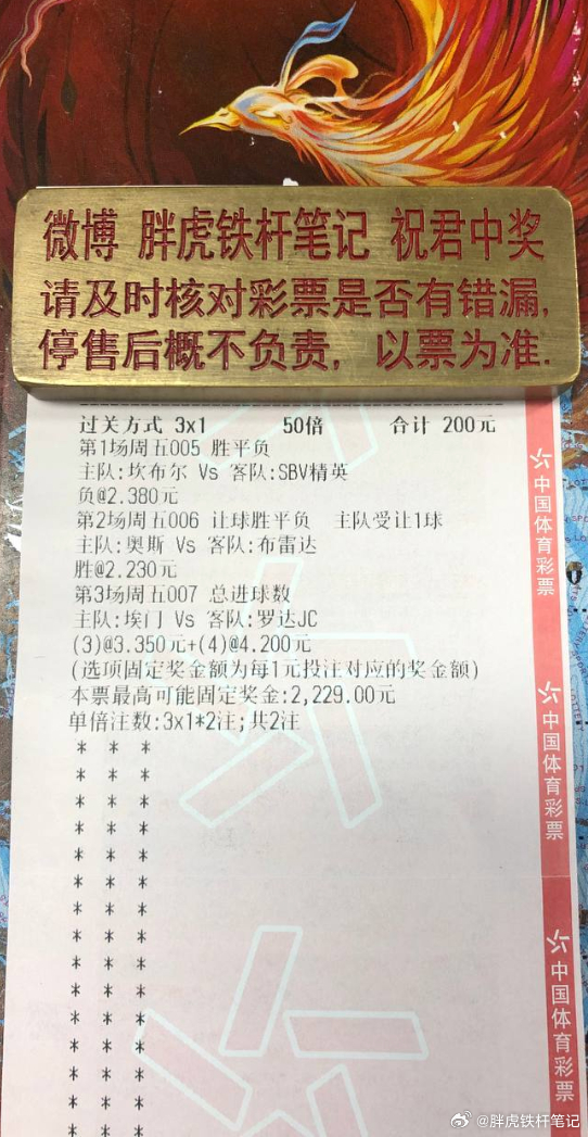 荷甲新赛季升班马坎布尔主场能否保持卫冕冠军状态？⚽️005   荷甲   坎布尔