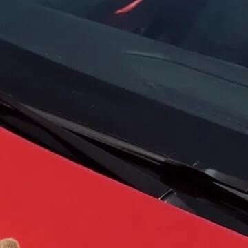 每日一善  0000豪车之上萌兔就位，墨镜一戴谁都不是对手😎 