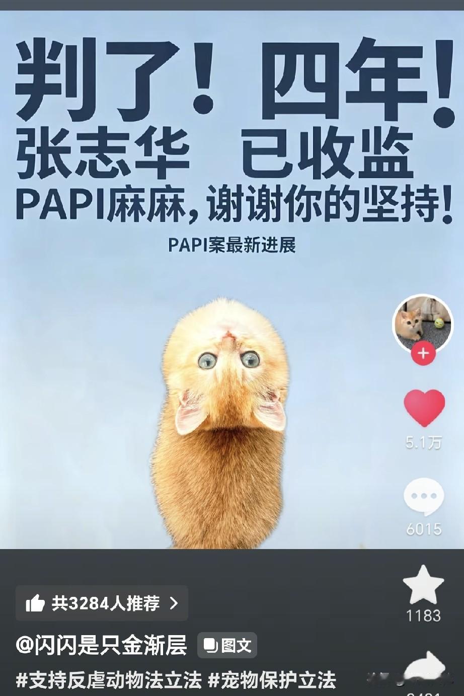 北京papi妈妈案，看看抖音上的点赞量，没有一个恨猫狗份子敢去抖音上胡说八道，其