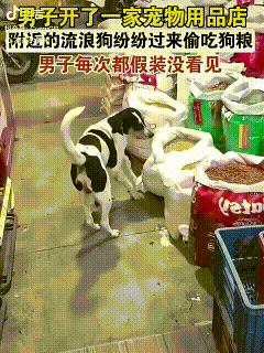 [微风]太感动了！近日，一男子开了一家宠物用品店，附近的流浪狗纷纷前来偷吃狗粮，