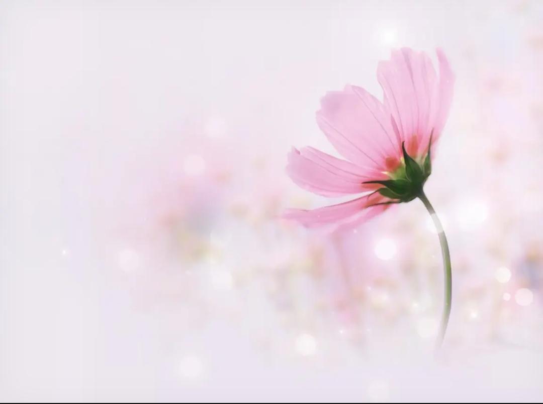 人到中年，
别给自己赋予太多的责任，
你首先是你自己，
而后才是一位母亲，
一名