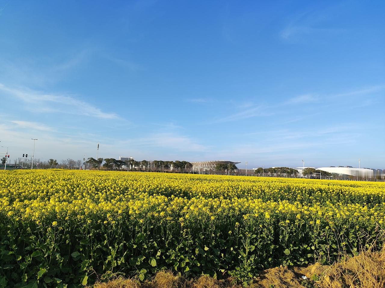 你认为人生的终极意义是什么人生的终极意义，不在于找到一个唯一答案，而在于清醒地体