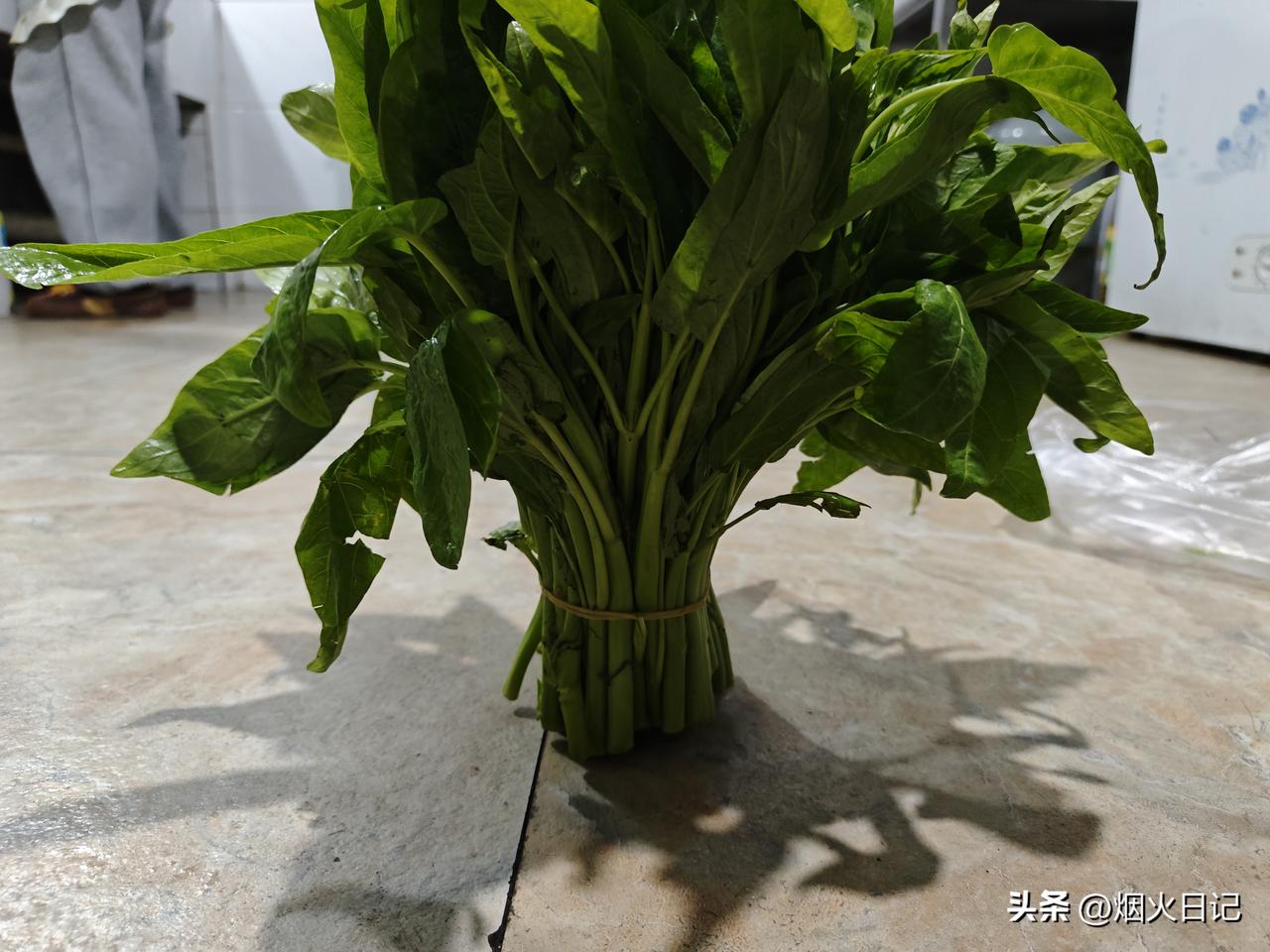 空心菜居然6元一斤

这个季节的蔬菜真的是比较少，选择性太少了。逛了整个菜市场，