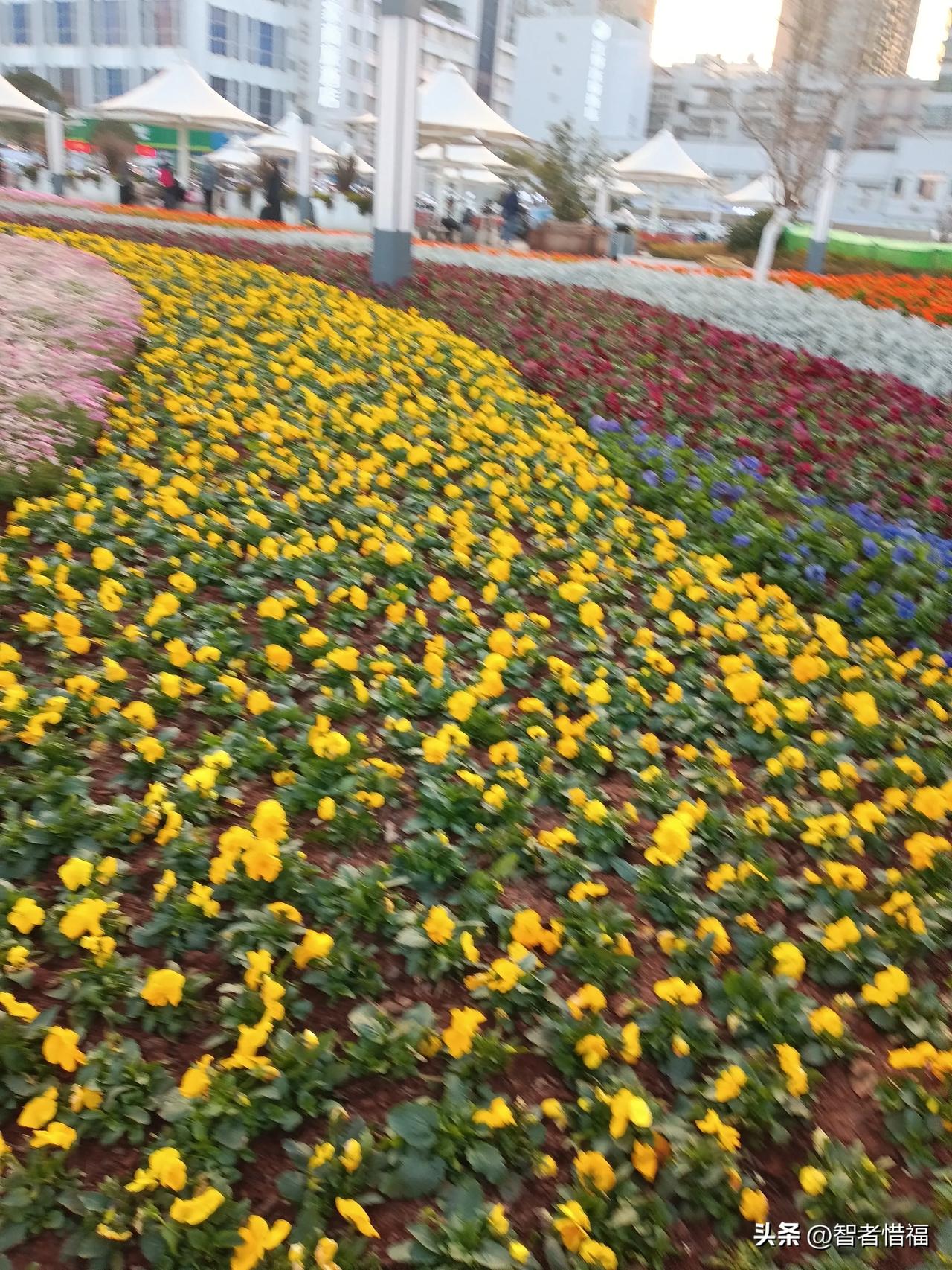 躯体障碍症是焦虑引起的的，还是抑郁症引起的，是会反反复复的复方吗？最好的治疗方式