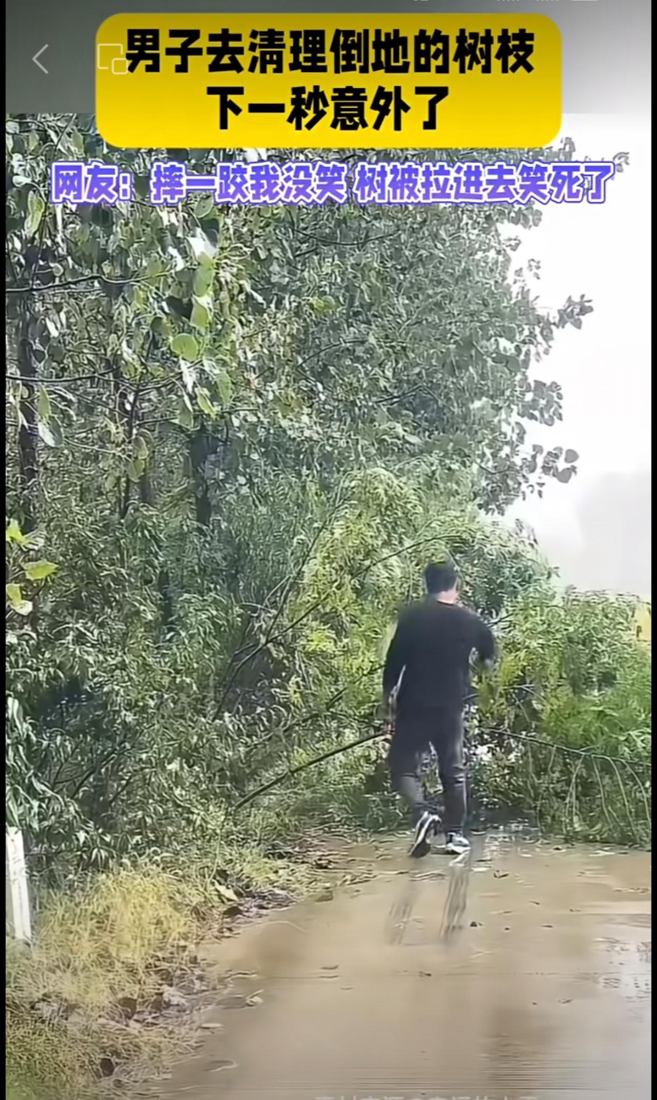 男子清理倒地的树枝，结果意外了