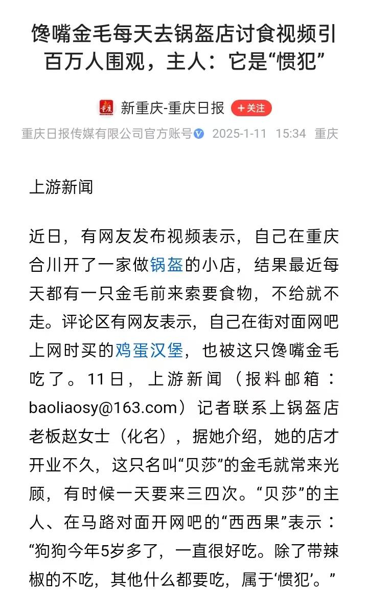 我有点懵！这件事也能拿出来津津乐道？一条5岁的金毛犬不仅到锅盔店要吃的，还去了周