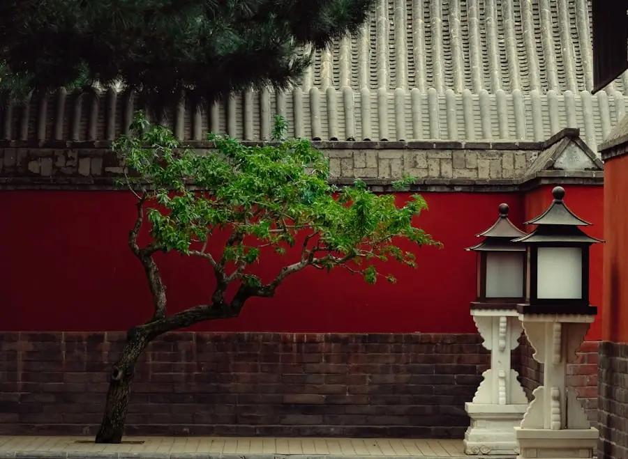 外网热议：中式天庭惊艳全球。中式天庭 中华文化 海外热议 🌏 最近，外国网友在