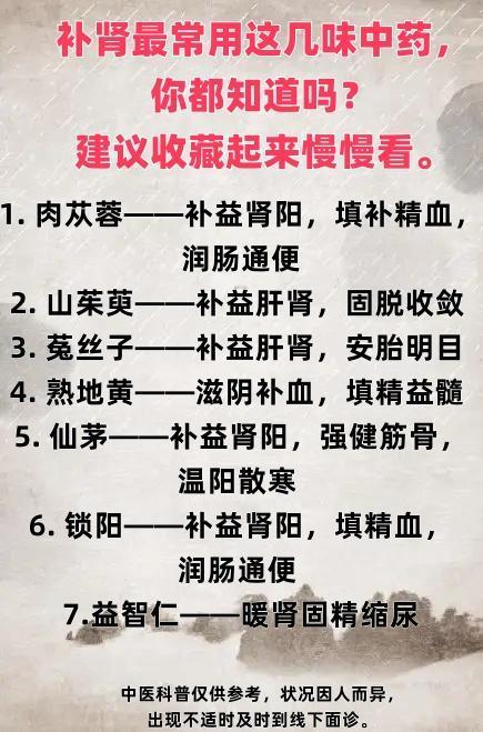 补肾最常用这几味中药，你都知道吗？建议收藏起来慢慢看。

1. 肉苁蓉——补益肾