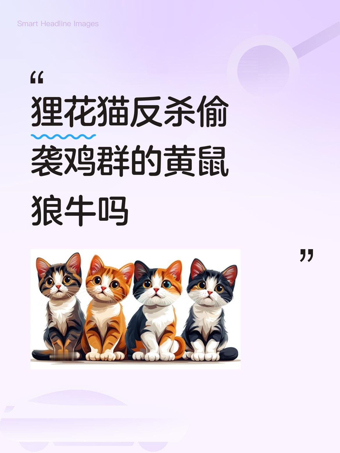 一只猫都知道爱家，护家，保护家的小鸡，可是一个人怎样？是否爱家护家，爱国护国？狸