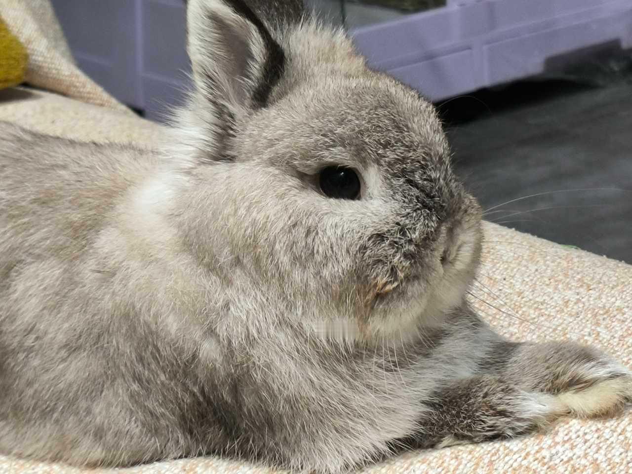 13817🐇【瞅你咋的】 