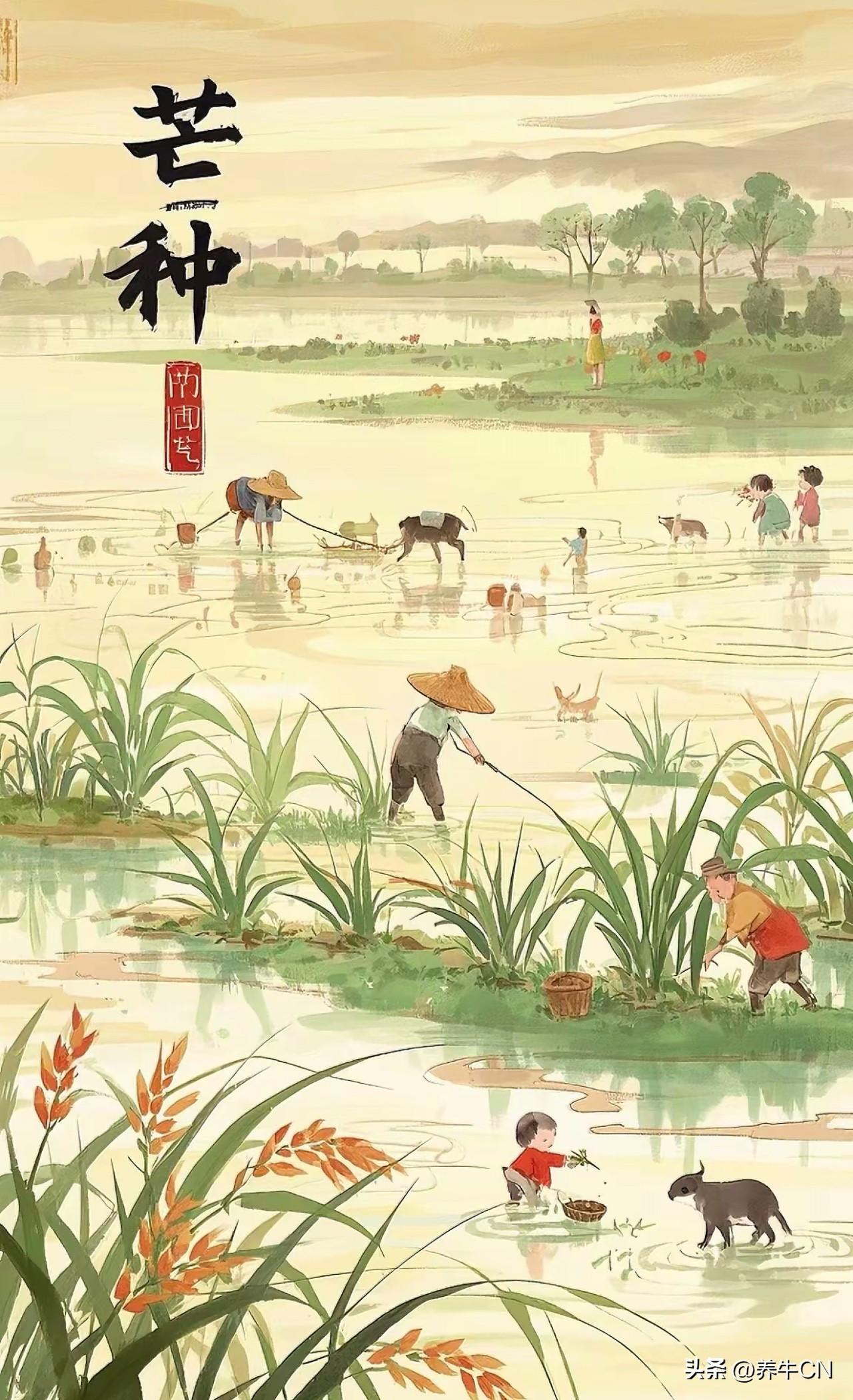 忙而不茫，岁岁丰盈