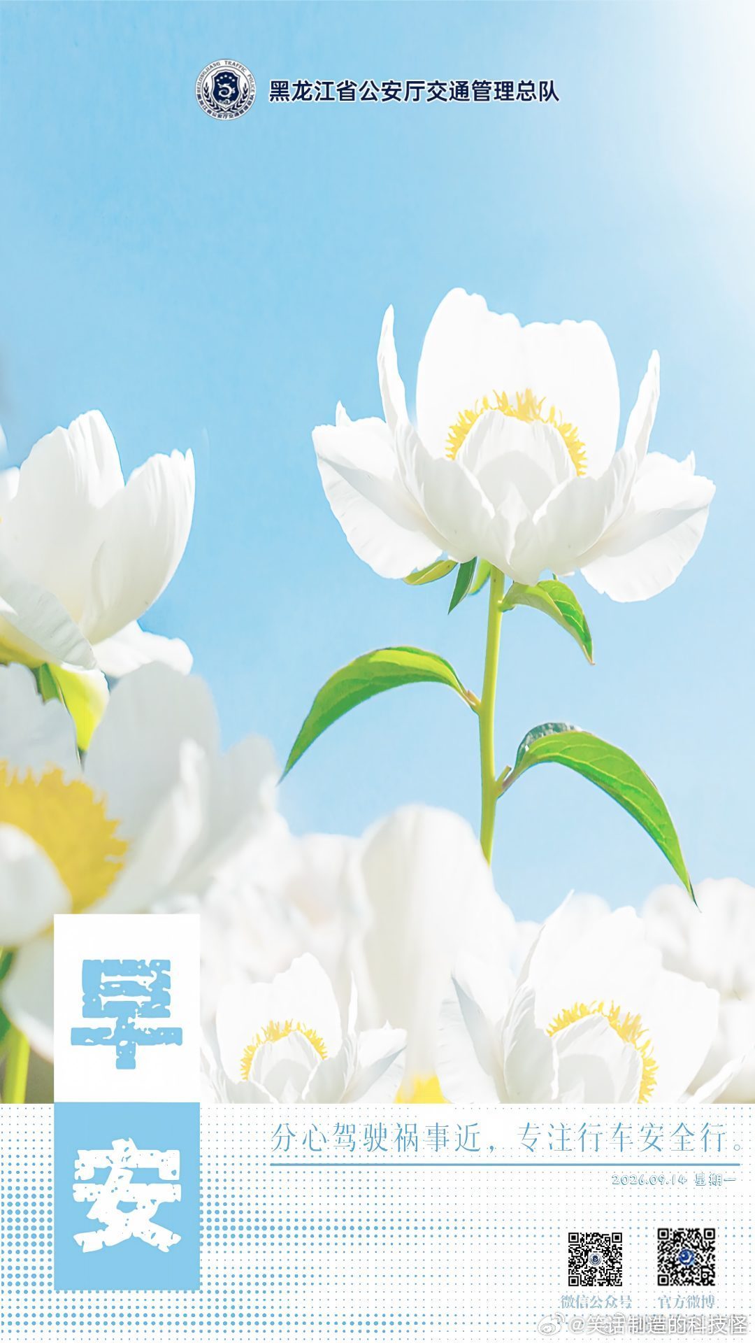 早安[超话] 分心驾驶祸事近，专注行车安全行。早安[太阳][太阳]早安高小黑蜀黍