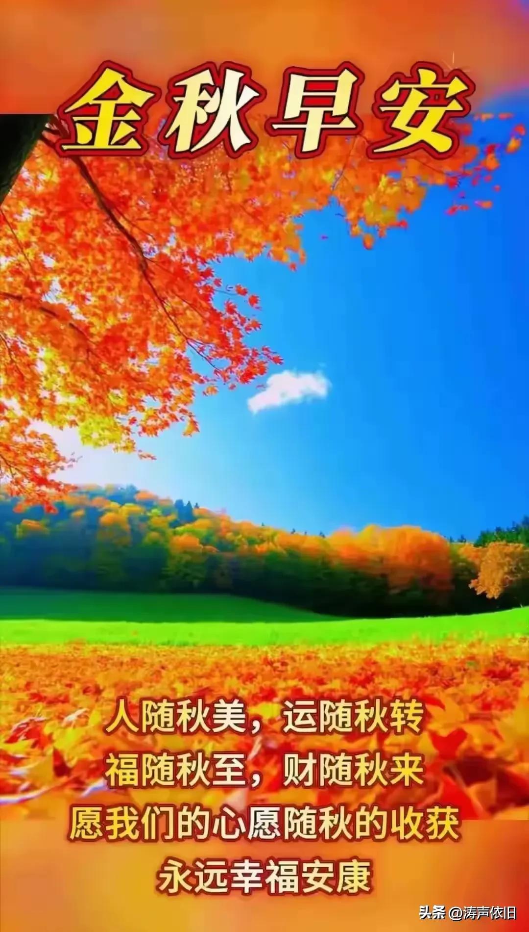 《七律·初秋寄怀》

炎夏随风渐渐收，
轻云凝露入初秋。
尘间百事宜看淡，
静品
