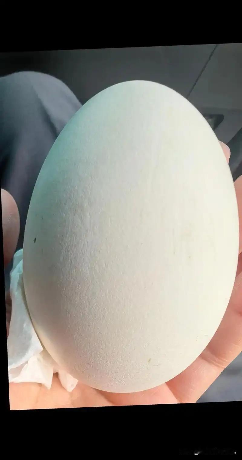 【小儿抽动症：不起眼的鹅蛋竟是止抽好物，90% 家长都不知道】
干儿科几十年，我