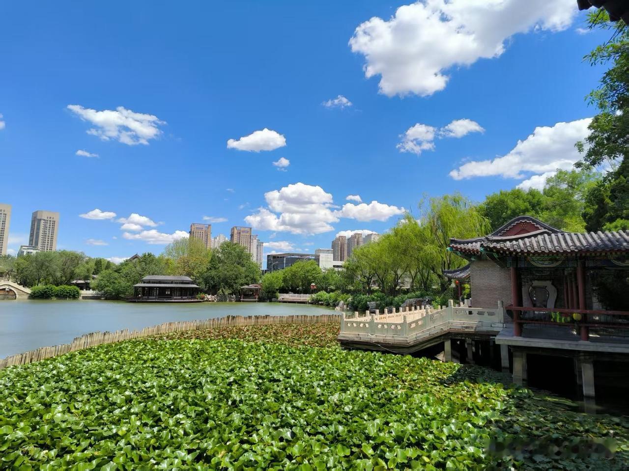 我的今日状态：😁轻松愉快
我这里的天气：🌤️多云
蓝天白云，天空的景色太美了