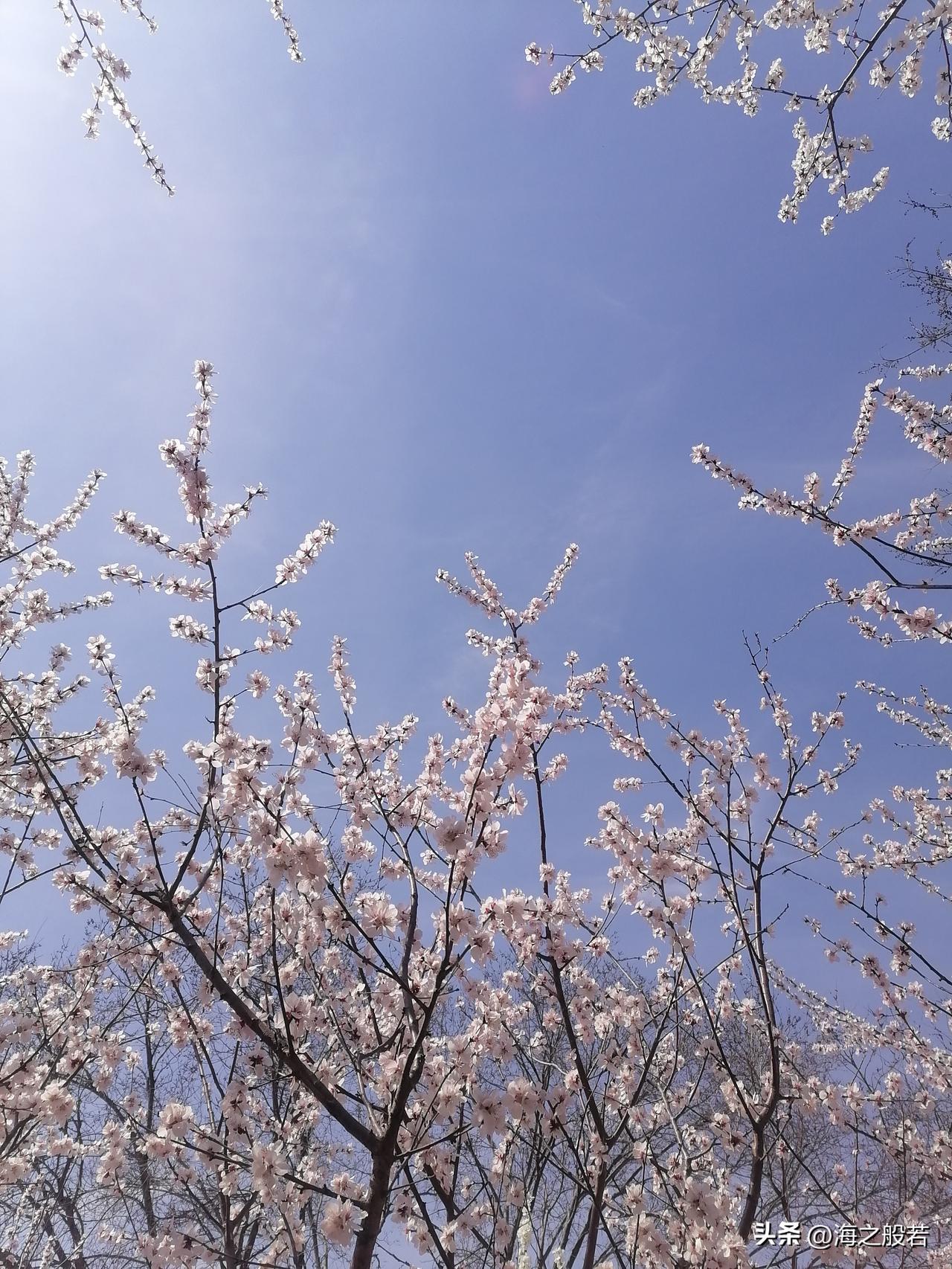 今早晨练，被一对中年夫妻暖到了。

今天周日去公园跑步，我前面有一对中年夫妻，一