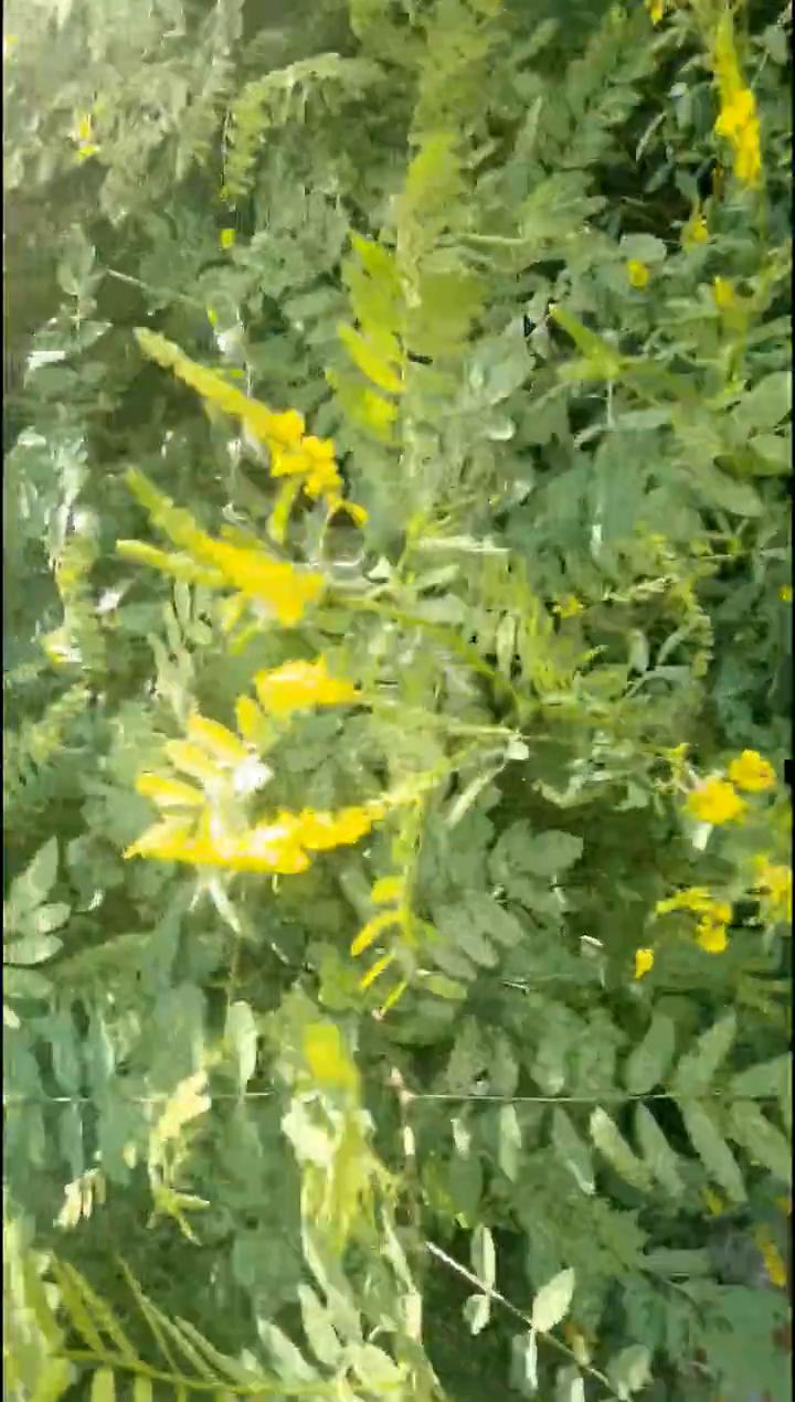 脑筋硬转，活着看着，下面是现代文化，上面才是古老文化。