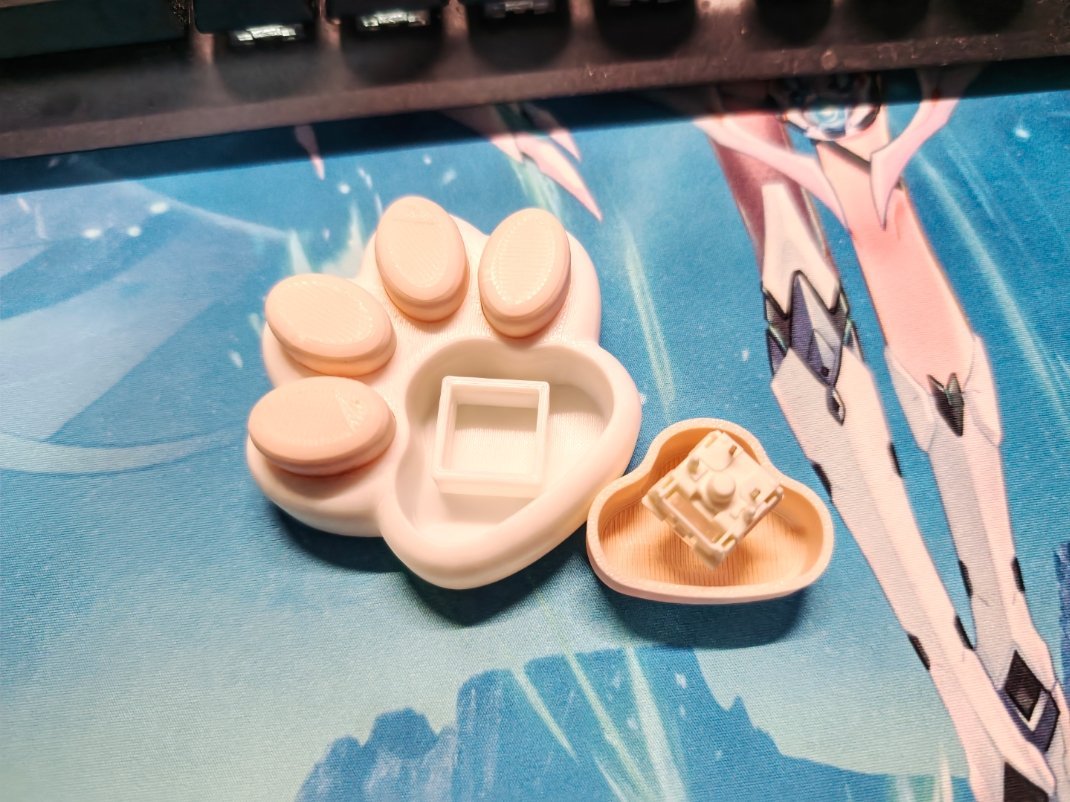 打印了个解压按键，用了rog的白轴 