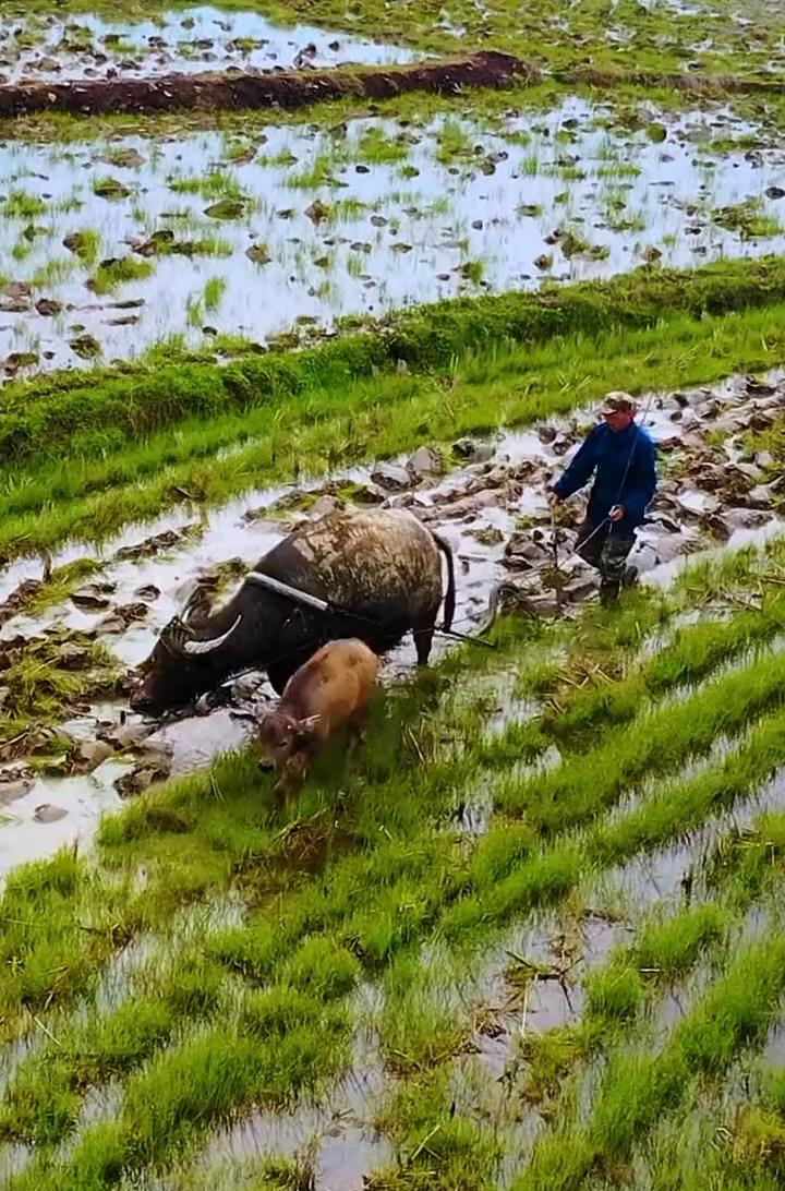 “大寒”是最冷的节气吗？大寒是一年最寒冷的季节，往年气候如何我们不大注意，今年比