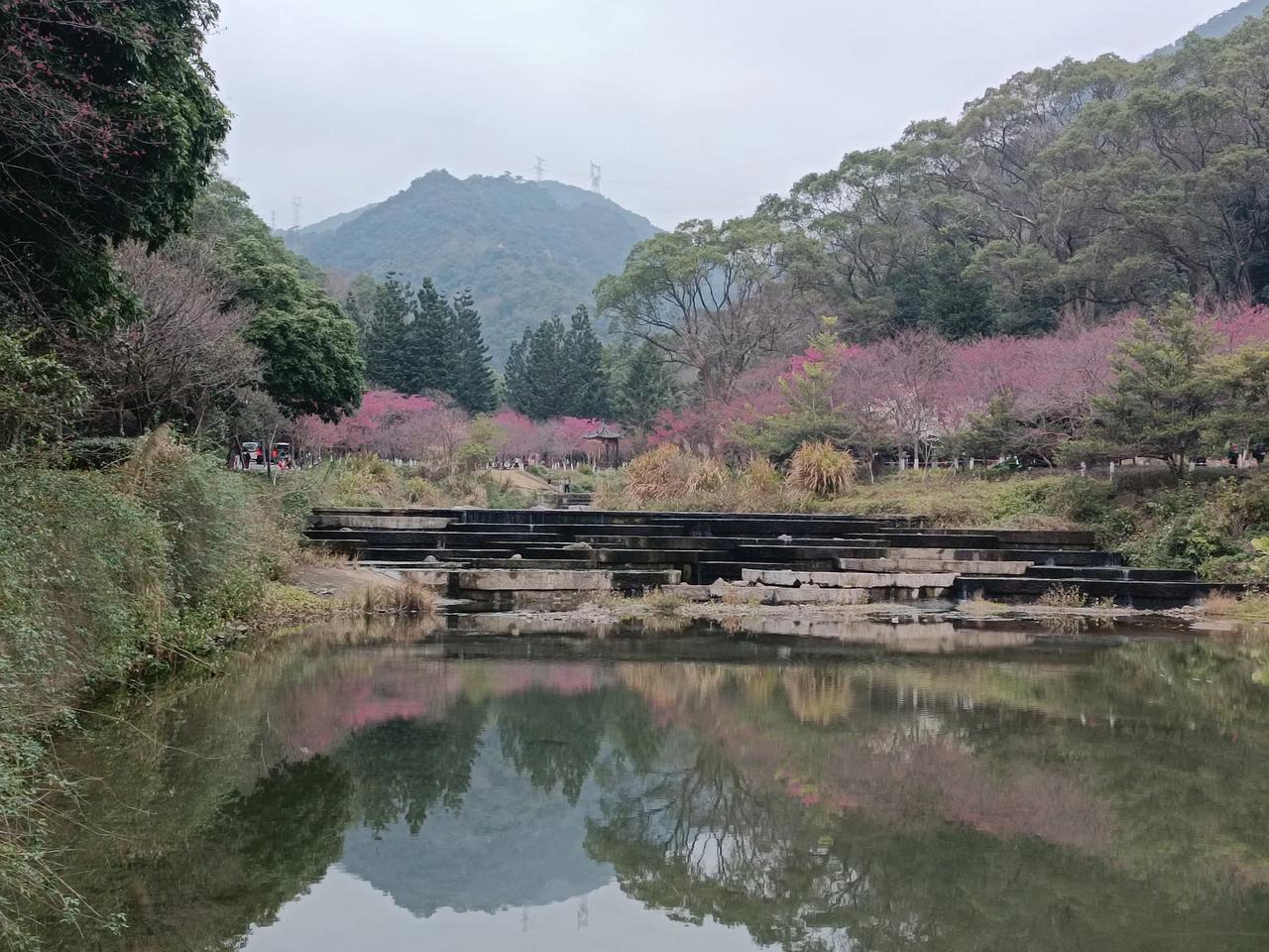 春色满园，花香扑鼻。
游福州国家森林公园。攻略：坐地铁一号线至树兜下，转乘328