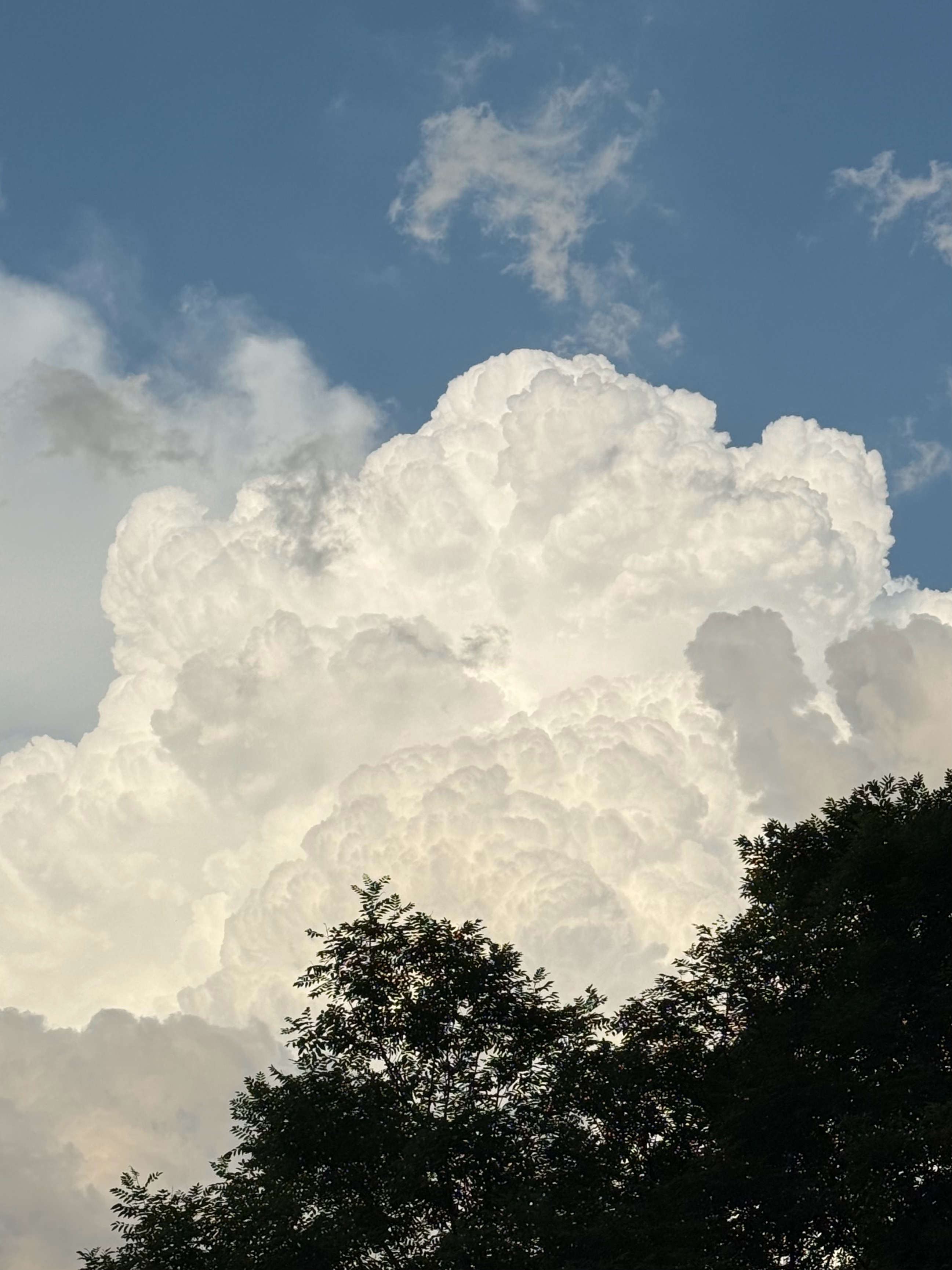 最近天气真的好～未来的我们也要像雨后天晴的棉花糖一样