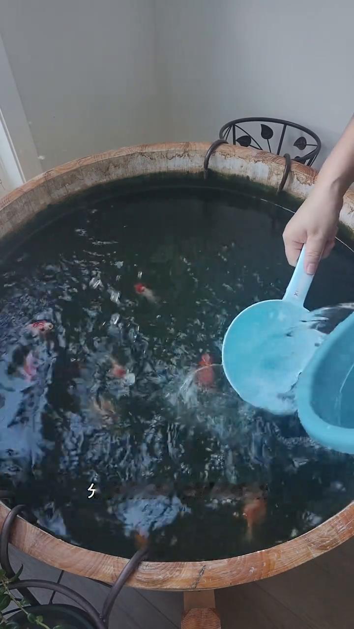 轻轻漫步加拿大，分享有烟火气的海外生活。今天周四，是群里每周市内徒步的日子，早晨