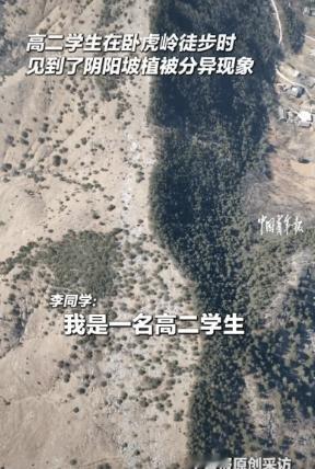 陕西，一名高二男生在卧虎岭徒步时，发现一座东西走向的山脉有着明显的植被分异现象，