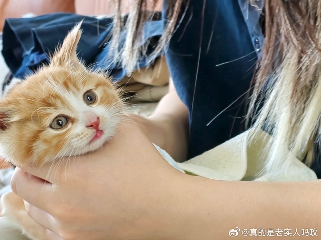 列表你们完了知道吗此账号从今天开始改为更新橘知奶每日成长记录，全家唯一男丁已被我
