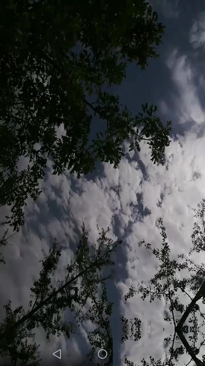 不知道大家有没有一种感觉，这几年的国际大事件就像是拿着同一个剧本在演。只要咱们在