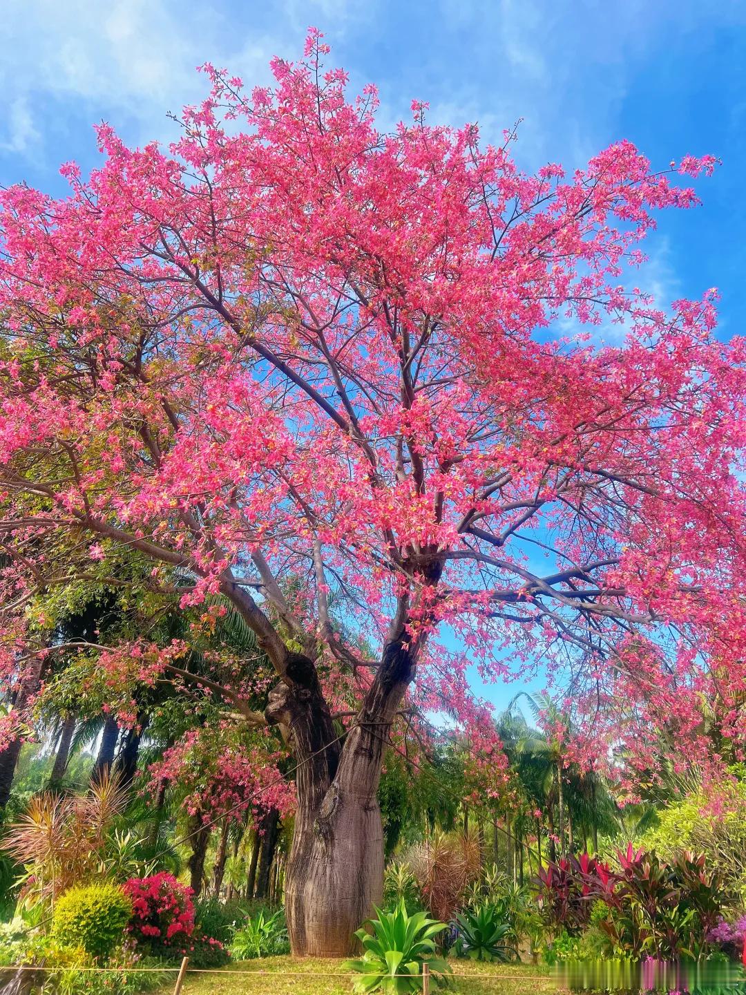 发起人有法律问题，结果公司没有成立起来这样怎样追究发起人的责任呢？发起人作为筹划