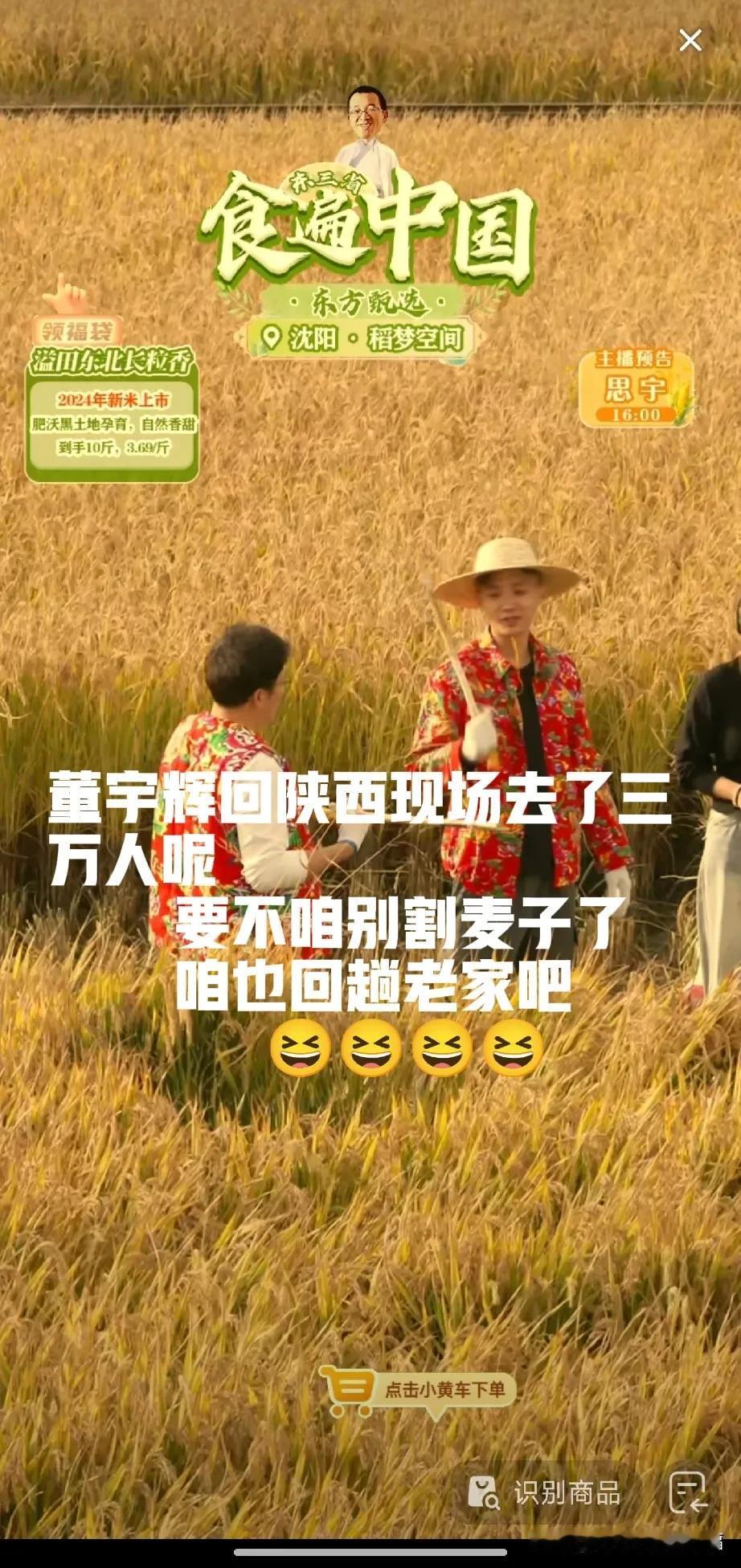天权明明你俩不着急吗？人家董宇辉回老家有3万人围观呢
你俩竟然跑到东北沈阳割麦子