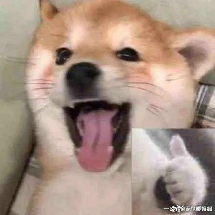 当代年轻人把麻将玩出了新花样 在线对战、实时排名，这不仅是牌技的较量，更是网速的