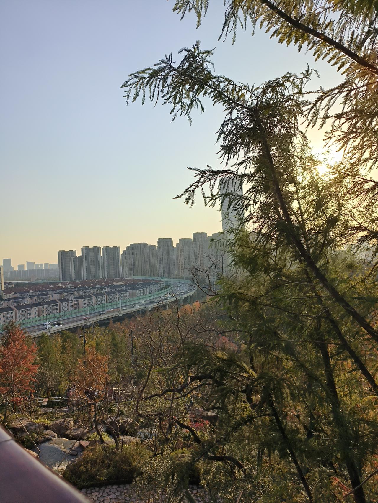 冬日美景随手拍实景图分享！

周末公园徒步随手拍分享！