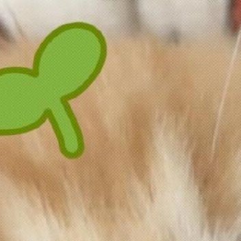 养权重❗❗❗尊敬的先生我希望在你的Fendi里找一个Gucci的角落我希望在你的