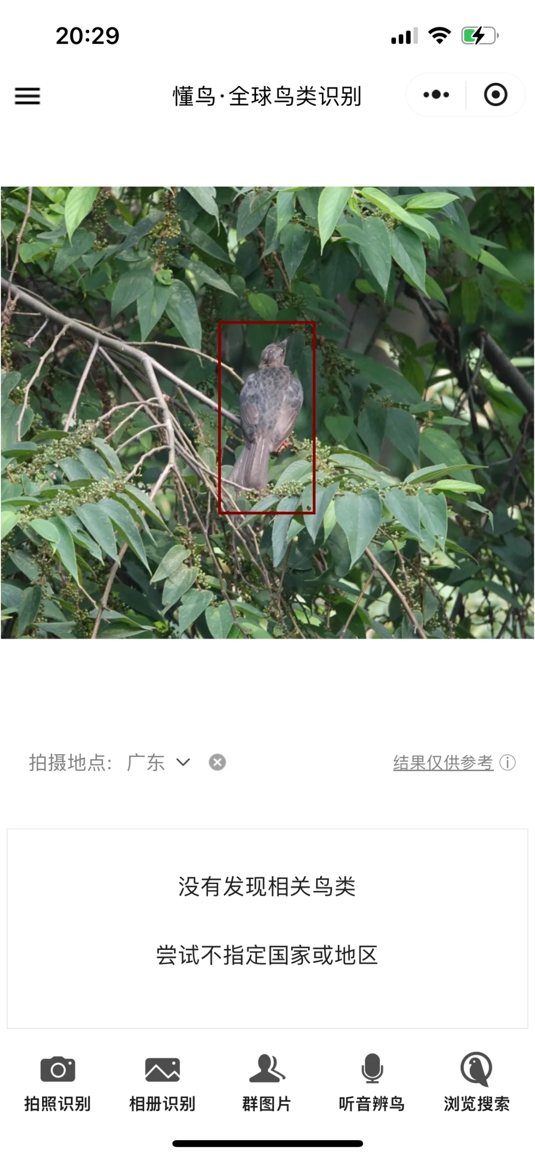 掉毛掉到懂师傅都不认得