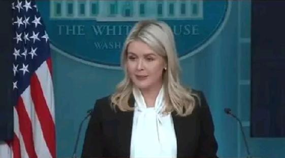 白宫发言人卡罗琳·利维特称：​​“遗憾的是，四年来白宫里有一位非常愚蠢、无能的领