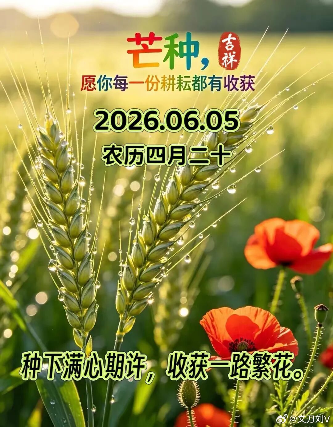 感悟  芒种，一个又忙又美的节气，有收有种有风景，芒种节气里也蕴藏着古老的人生哲