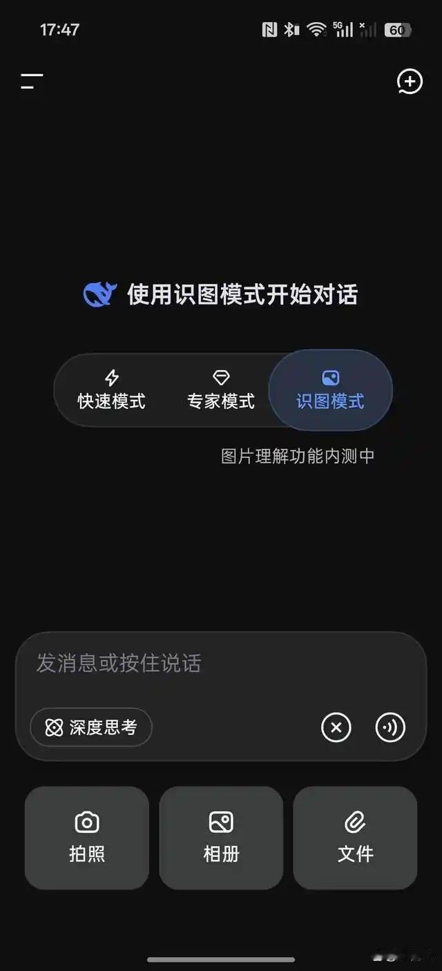 DeepSeek新技能曝光！AI也能“看懂”图片了，还能分析文物历史🔍📸
