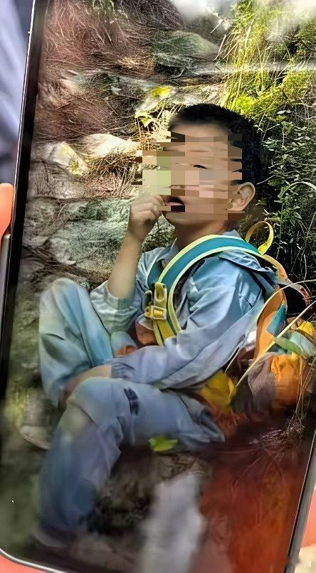 官方通报搜救在大理走失8岁男童进度四个老师带着五个孩子大山里参加夏令营居然带丢了