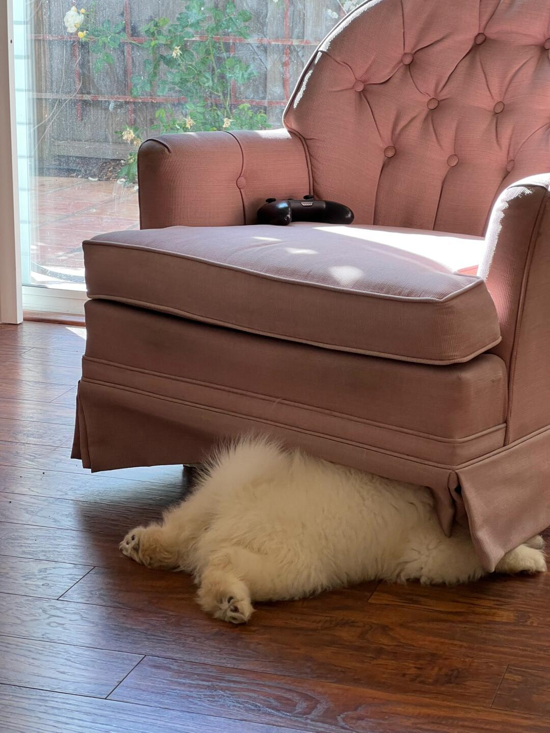 老师说耶耶今天没来学校 