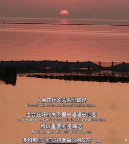 每日一善 不要因顺境而忘记自己的价值，也不要因挫折而放弃希望，相信自己能够继续前