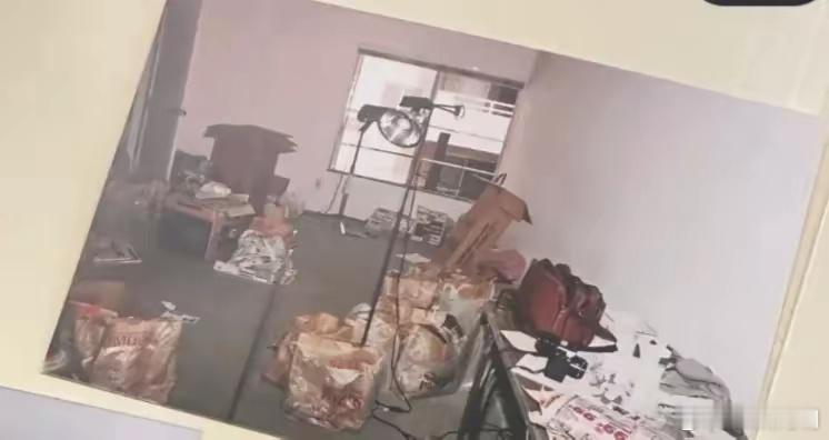 1995年，美国。张爱玲在洛杉矶的家，没有家具全是手提袋。她去世一周后才被发现，