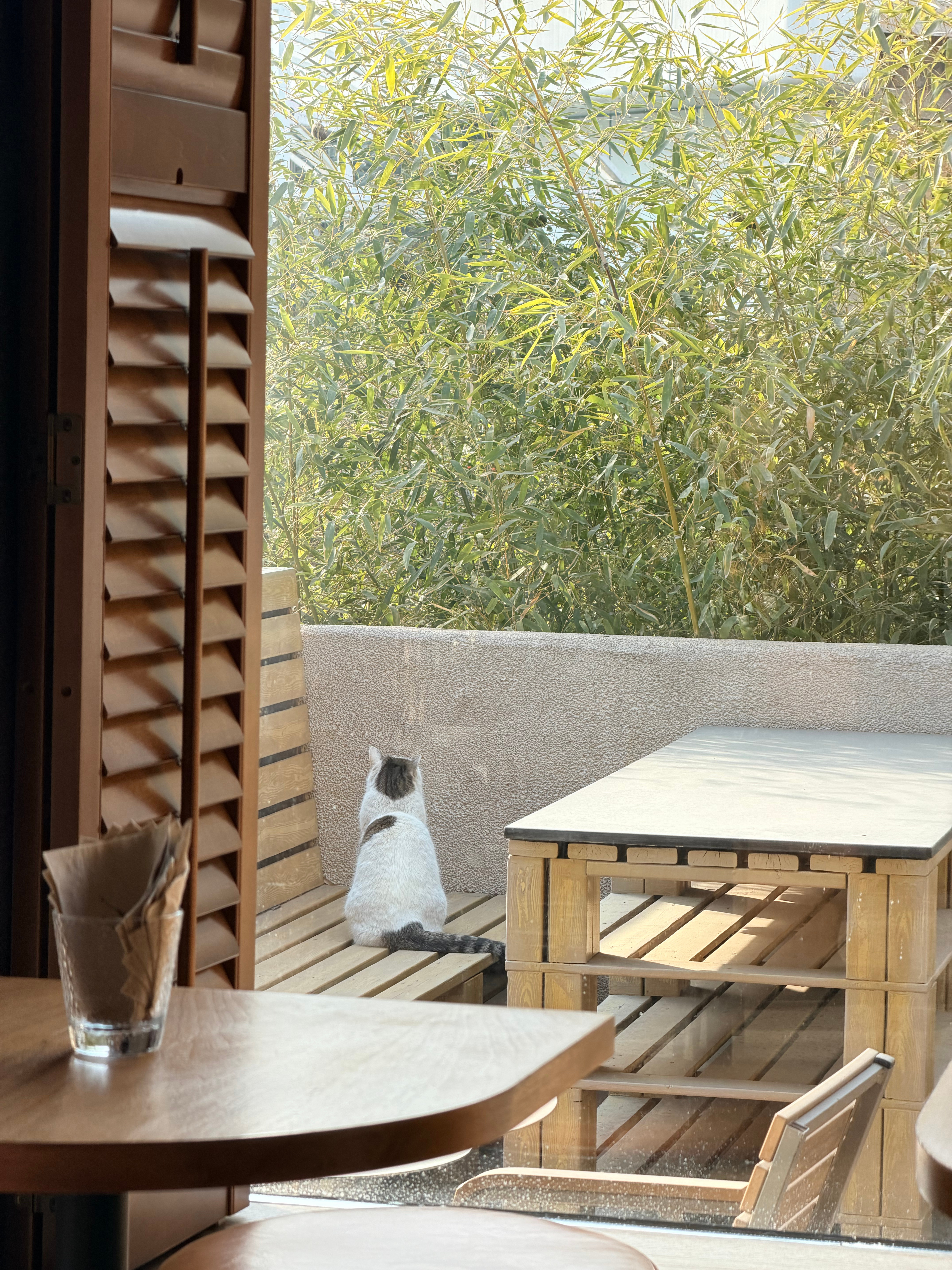 周末快乐！今天和高中同学约着一起去了雍和宫，给家属买了本命年红绳，给自己请了一盆