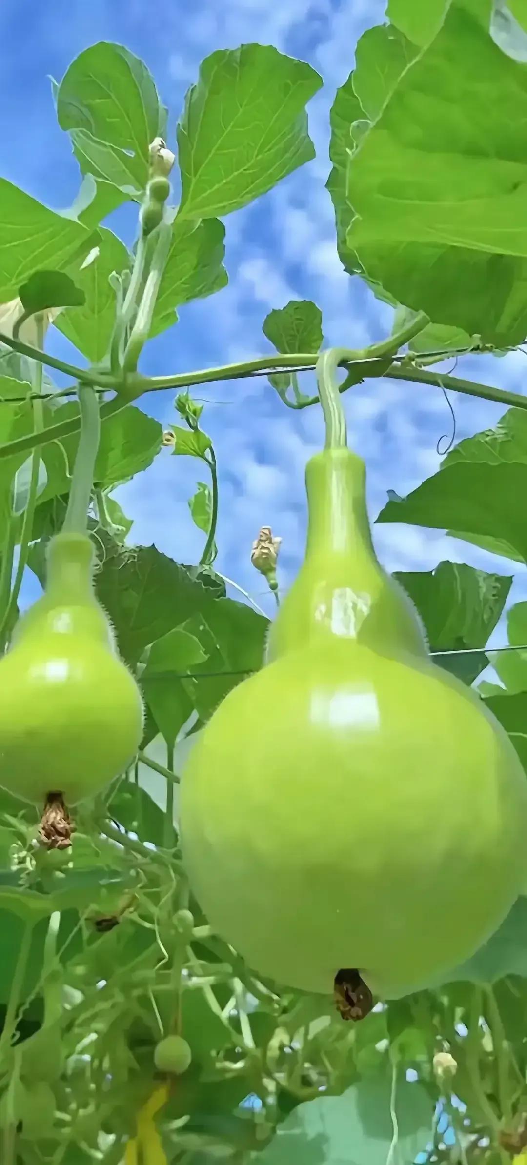 历史和现实将最终证明，谁实行多党制，谁倒霉。
       因为有流氓美国在不断