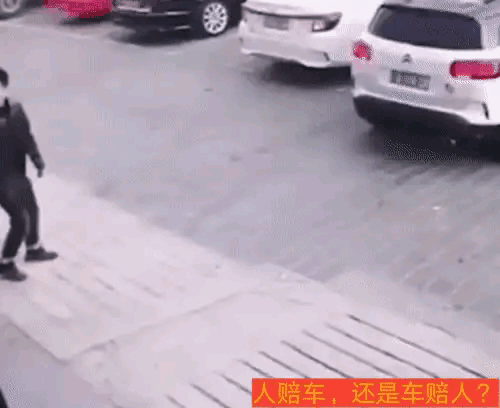 卧龙凤雏碰到一起了，有没有明白人说一下，这事该怎么处理？[机智]