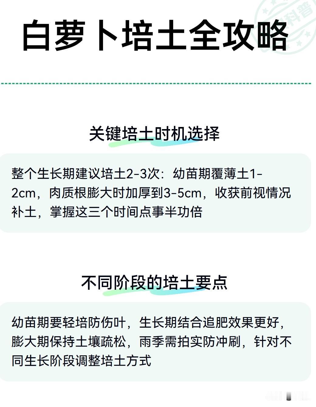 露出土面的萝卜部分晒到太阳，表皮就会变绿，辣味加重，吃着发苦，口感大打折扣。露在