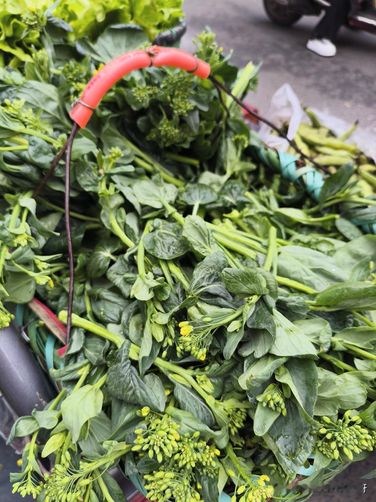 湖北应城，这都4月中旬了，没想到还能在市场上买到白菜苔，这个倒是挺惊喜的，两块五