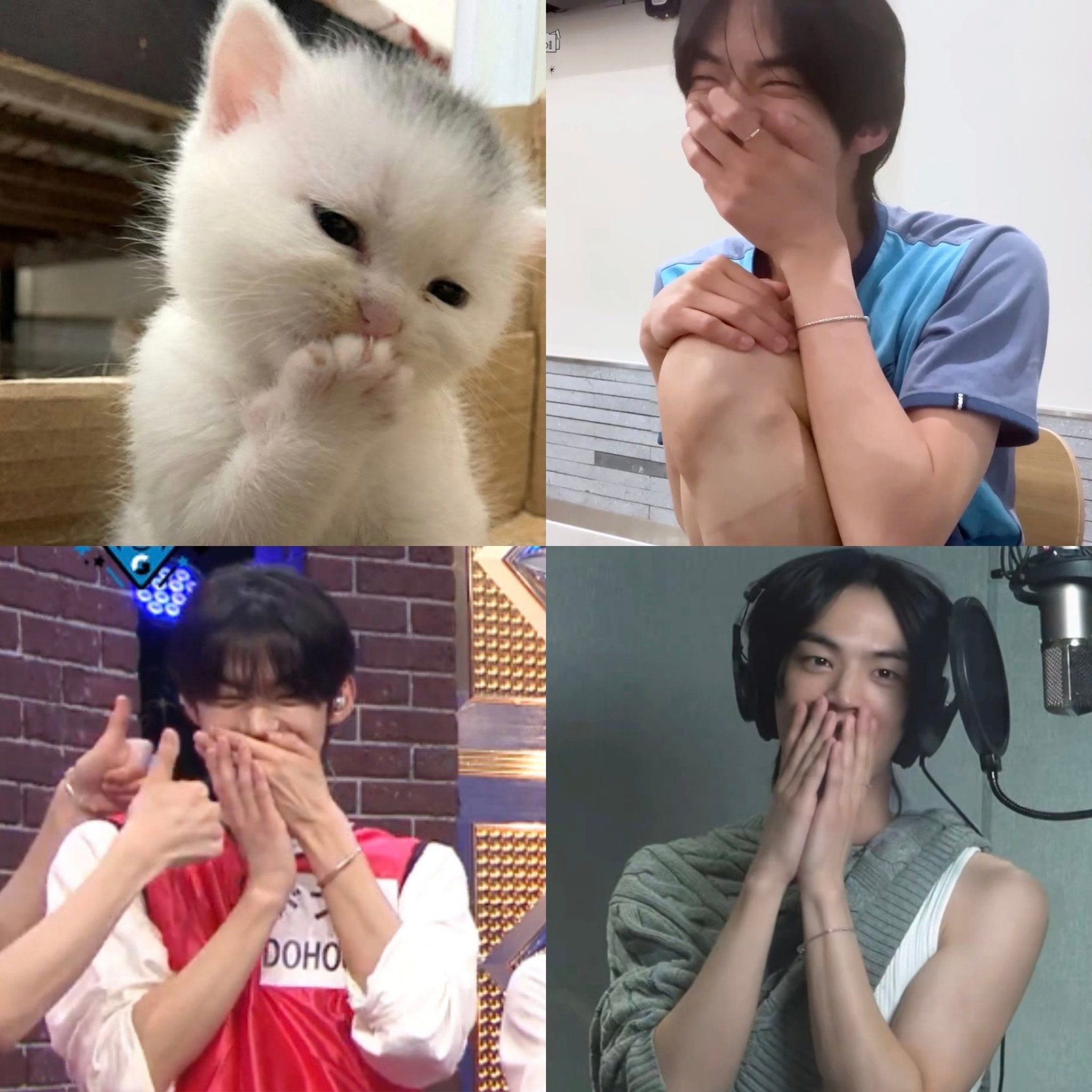 咪咪 嘬嘬嘬 